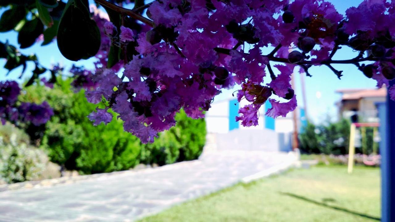 Zephyros Family Apartments 1 Όρμος Παναγιάς Εξωτερικό φωτογραφία