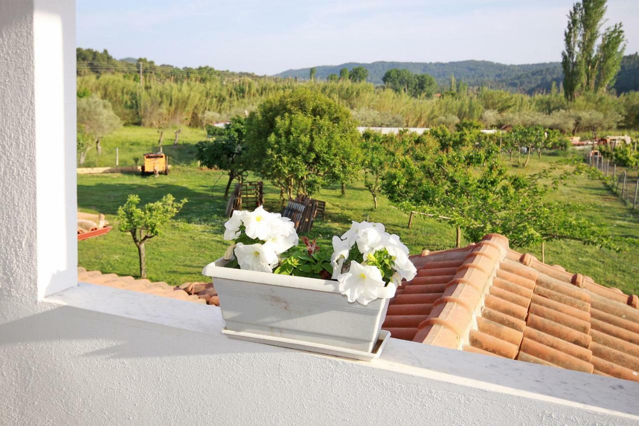 Zephyros Family Apartments 1 Όρμος Παναγιάς Εξωτερικό φωτογραφία